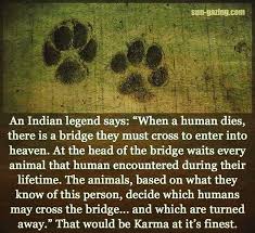 An Indian Legend Says When A Human Dies There Is A Bridge Dog Quotes Pets Animal Quotes