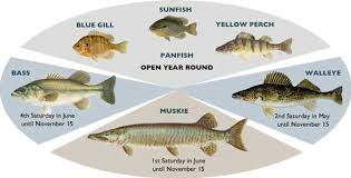 Fishing Rice Lake Info