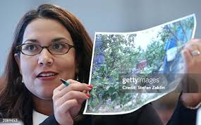 16 Manda Hill Stock Photos, High-Res Pictures, and Images