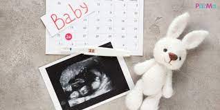 Check spelling or type a new query. Tarikh Hari Pertama Haid Terakhir Lmp 3 Bulan 7 Hari Ini Kaedah Kira Due Date Bersalin Pa Ma