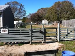 From monkeys, camels, llamas, wallabies, mini horses, piglets, parrots, tortoises don't forget to learn about the animals stories, as that will really give them a good sense of why it's important. Animal Farm Petting Zoo In Manorville Photo Gallery