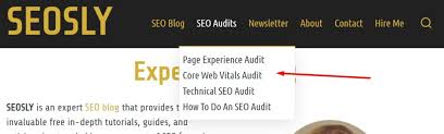 This part of the website auditor. On Page Seo Checklist For 2021 70 Seo Elements Plus Pro Seo Tips
