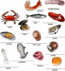 Learning The Vocabulary For Some Basic Seafood English Lesson Ingilizce Ingilizce Deyimler Ingilizce Dilbilgisi