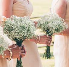 Kenya Could Become First Country To Approve Gmo Bridal Bouquet Baby S Breath Flowers Genetic Literacy Project