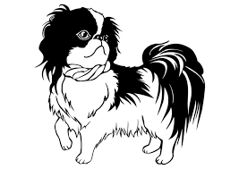 Einstein oliver and company coloring pages clipart. Coloring Page Dog Shih Tzu Free Printable Coloring Pages Img 29834