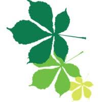 Chestnut Grove Academy Employees, Location, Alumni | LinkedIn