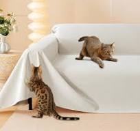Amazon.com: Cat Scratch Furniture Protector - Anti-Slip ...