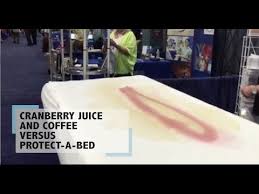 Oct 09, 2019 · a 2005 study also found that cranberry juice seemed to increase the risk of calcium oxalate stones and uric acid stones, although it did seem to decrease the risk of the formation of another type. Cranberry Juice And Coffee Vs Protect A Bed Youtube