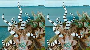 Beetlejuice might not be a fan of sandworms, but with this sandworm on display in front of your home you'll have some of the best looking halloween décor in the neighborhood! These Beetlejuice Tail Stakes Will Give Any Plant A Spooky Touch