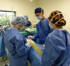 It can get very busy quickly and some days there is not enough staff to patient ratio. Residents Interns Vet In East Greenwich Osvs