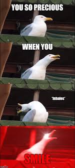 Inhaling Seagull Meme Imgflip