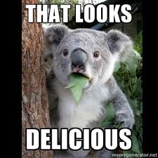that looks, delicious - Koala can't believe it - Meme Generator