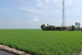Tanjung karang is situated 2½ km north of kampung china tanjung karang. 16 9 Ride In Tanjung Karang Kuala Selangor Don T Fart Too Loudly