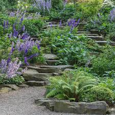 The Rockery With Its Primaeval Atmosphere Is At Its Most Dramatic When Tall Spires Of Campanula Lati Garden Inspiration Campanula Landscaping Retaining Walls