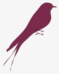 Pemilihan gambar burung lovebird ki kusumo yang tepat juga akan membuat hp kamu tampak enak dilihat. Love Birds Vector Png Images Transparent Love Birds Vector Image Download Pngitem
