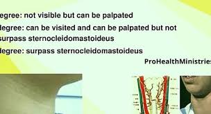 Thyromegaly Definition Thyromegaly Prohealthministries Com Thyromegalydefinition In 2020 Health Ministry Thyroid Disorders Thyroid Hormone