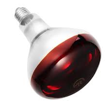 Shop with afterpay on eligible items. Poultry Heat Lamp Infrared Heater Bulb 110v 240v No Harm For Puppies Kittens Piglets Reptile Osta Madalate Hindadega Joom E Poes