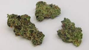 Amnesia (super strains) amnesia (advanced seeds) amnesia (makka seeds) amnesia (greenlabel seeds) amnesia (vision seeds) amnesia (super strains). Gmo Why Colorado Tokers Love This Strain Westword