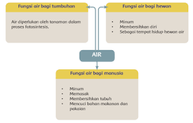 Kita menggunakan air dalam kehidupan seharian,pencemaran air telah. Kunci Jawaban Tema 8 Kelas 5 Sd Mi Subtema 1 Fungsi Penting Air Bagi Manusia Dan Kehidupan Di Bumi Halaman All Tribunnewsmaker Com