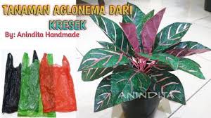 Aglonema Dari Kantong Kresek Tanaman Hias Dari Plastik Kresek Bunga Dari Kresek Aninditahandmade Youtube Di 2020 Tanaman Bunga Hiasan