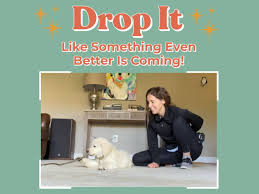 Gradually increase the distance if your dog still responds to the verbal cue. How To Teach Your Dog To Drop It Tails Of Connection How To Connect With My Dog Online Dog Training Strengthen Your Bond Dog Owners