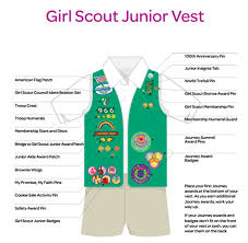 gsnorcal volunteer essentials girl scout program