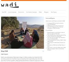 The case was in response to a 2017 petition by a doctor who argued. Fgm Campaign As Example Wadi