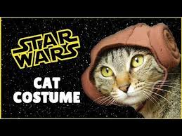 Diy Star Wars Princess Leia Cat Costume Diy Princess Leia Costume Diy Pet Costume Cat Costume Diy Diy Pet Costumes Princess Leia Costume Diy
