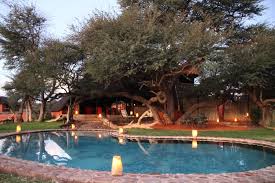 Its preferred habitat is the deep dry sandy soils in parts of south africa, botswana. Camelthorn Kalahari Lodge Hoachanas Updated 2021 Prices