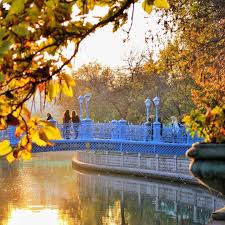 Goruntunun Olasi Icerigi Agac Bitki Cicek Acik Hava Su Ve Doga Instagram Doga Amazing