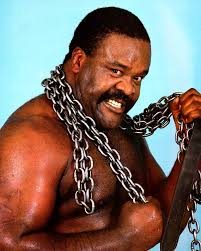 WWF The Federation Years