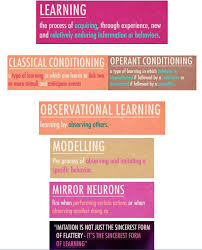 Learning Psychology Crash Course Operant Conditioning Science Rules Psychology