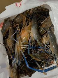 King Prawns Online In Uk |Frozen Raw King Prawn
