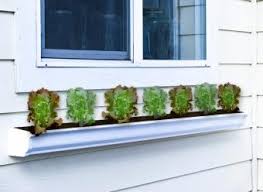 Rain Gutter Gardens Lovetoknow
