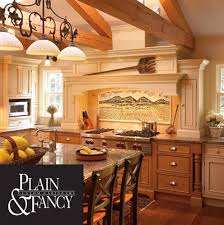 Maybe you would like to learn more about one of these? Plain And Fancy Cabinets B T Kitchens Baths