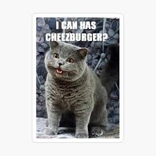 Image result for i can has cheezburger