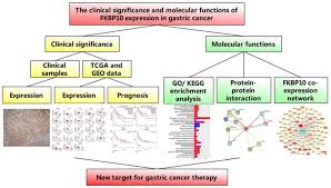 Comprehensive Evaluation Of Fkbp10 Expression And Its