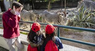 Inaugurado em 1884, o jardim zoológico de lisboa foi o primeiro parque com fauna e flora da. Edp Leva 270 Criancas E Jovens Ao Jardim Zoologico Consumer Trends