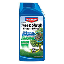 Bioadvanced Fungus Control For Lawns Instructions Bioadvanced 32 Oz Concentrate Tree And Shrub Protect With Feed 701810a The Home Depot