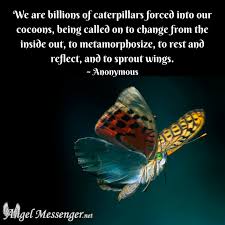 Through a specially designed oracle deck, angel card readers reach higher insights and help you find the loving answers you have been seeking about your relationships, career, destiny. Angel Messenger Free Angel Card Readings Tarot Readings Angel Cards Reading Card Reading Tarot Reading
