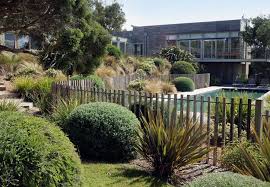 Landscape Designers Dig That Garden Design Coastal Gardens Landscape Design Pool Landscaping