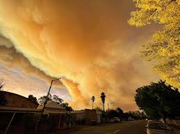 A bushfire burning at cherry gardens, in the adelaide hills, has now been contained. The Latest Updates From The Cherry Gardens Bushfire Glam Adelaide