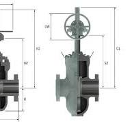 SCV Thru Conduit Gate Valves