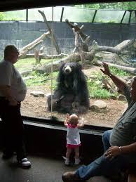 Akron Zoo Akron Zoo Animals Friends Zoo
