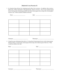 Dihybrid cross from chapter 10 dihybrid cross worksheet answer key, source:.worksheet answer key pdf is a new way of investigating defining happiness in every facet of our way of life including personal life and relationships in work. Dihybrid Worksheet Answers New Punnett Square Chessmuseum Template Library In Practices Crosses Coin For 2nd Grade Missing Addend Income And Expenditure Excel Sheet Place Value Year 1 1st Common Core Calamityjanetheshow