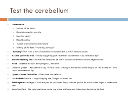 Image result for Cerebellar Function Test
