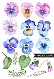 Watercolor Floral Clipart Purple Pansies Flower Clipart Etsy In 2021 Pansies Flowers Floral Watercolor Flower Art Painting