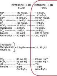 Simple diffusion is carried out by the actions of hydrogen bonds forming between water molecules and solutes. Transport Of Substances Through Cell Membranes Membrane Physiology Nerve And Muscle Guyton And Hall Textbook Of Medical Physiology 12th Ed