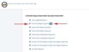 E Devlet Soyagaci Sorgulama E Devlet In Soyagaci Sorgulama Hizmeti Askiya Alindi Gundem Haberleri