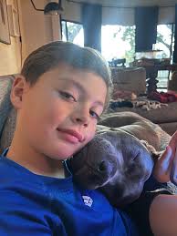 Rehoming a dog in need of a big yard and active owner